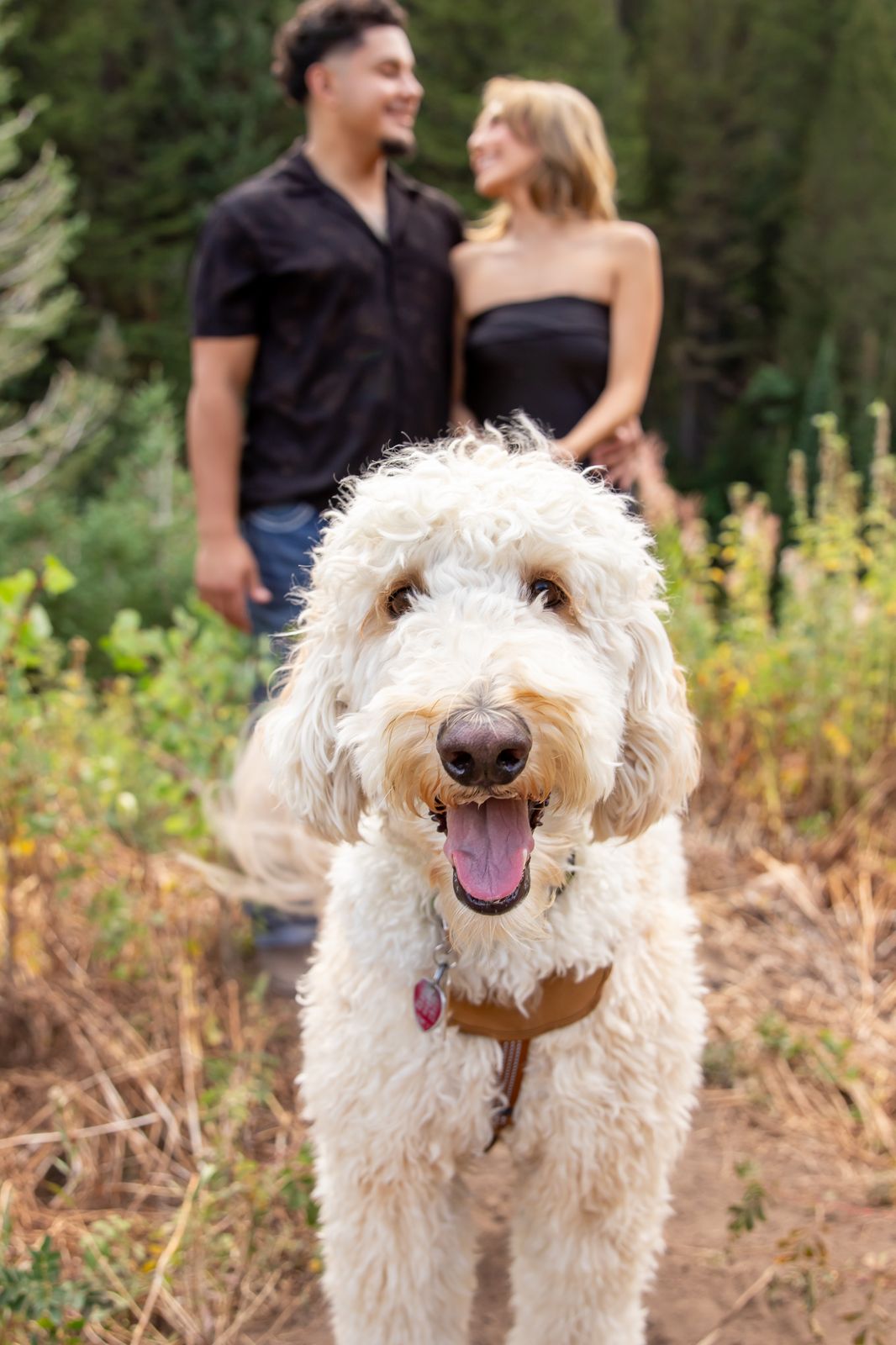 Couples photo hover